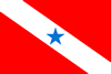 Bandeira do Pará, Jornal do Pará