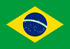 Bandeira do Brasil, Jornais Brasileiros 