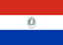 Bandeira Paraguai, Jornais Paraguaios