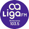 Rádio Liga Borborema FM Campina Grande PB