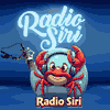  Web Rádio Siri Nossa Senhora do Socorro SE
