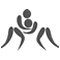 Luta Livre, Wrestling