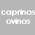 Sites de Ovinos e Caprinos